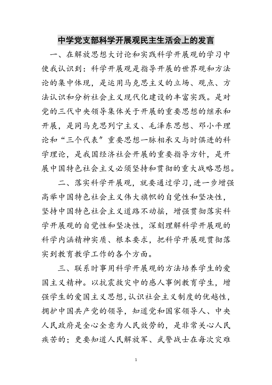 2023年中学党支部科学发展观民主生活会上的发言范文.doc_第1页