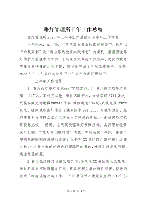 2023年路灯管理所半工作总结.docx