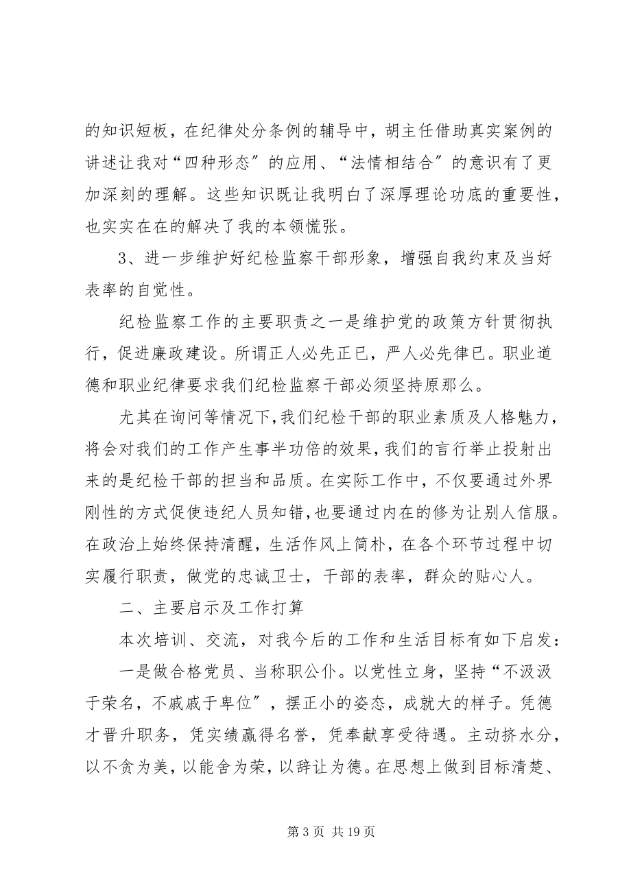 2023年纪检监察干部培训心得6篇.docx_第3页