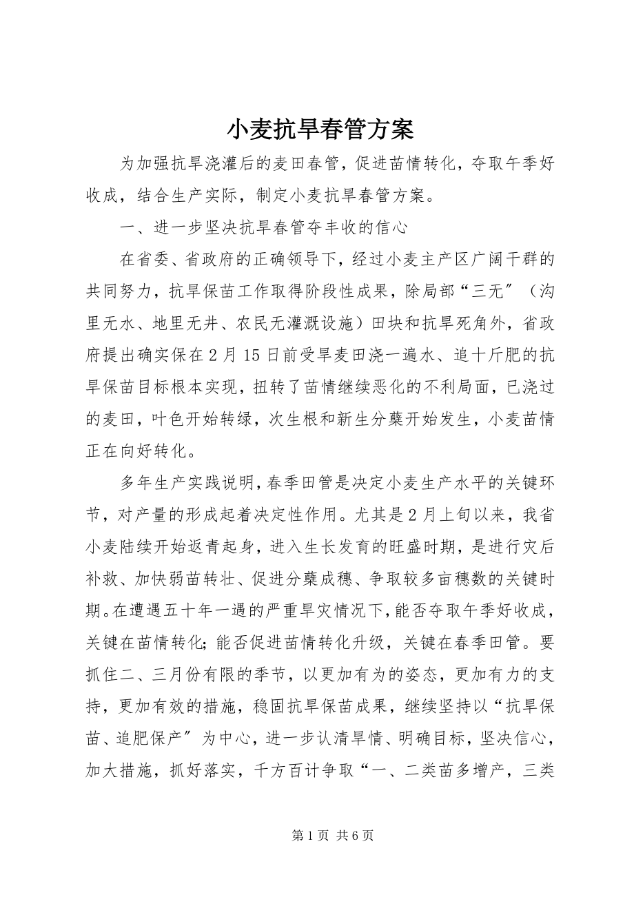 2023年小麦抗旱春管计划.docx_第1页