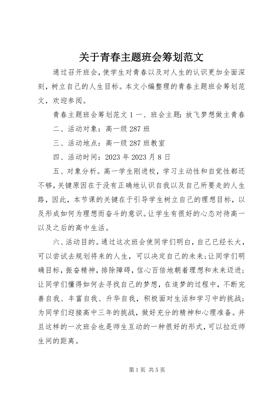 2023年青春主题班会策划.docx_第1页