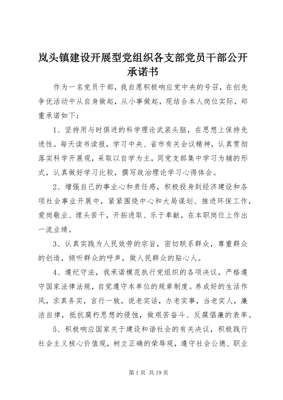 2023年岚头镇建设发展型党组织各支部党员干部公开承诺书.docx_第1页