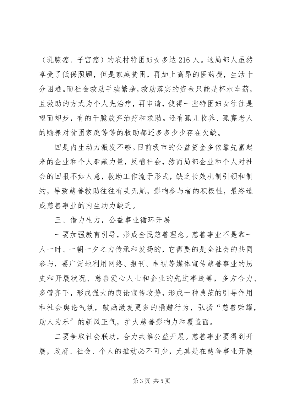 2023年公益事业发展现状与思考.docx_第3页