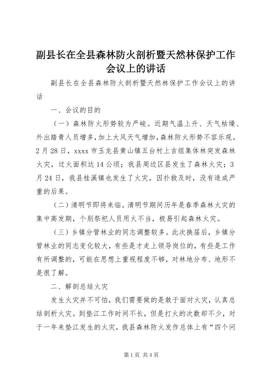 2023年副县长在全县森林防火剖析暨天然林保护工作会议上的致辞.docx_第1页