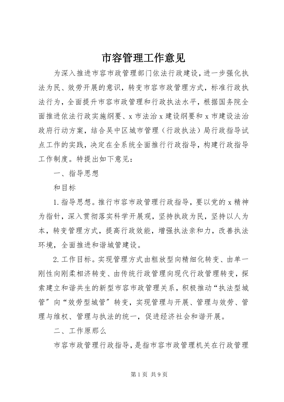 2023年市容管理工作意见.docx_第1页