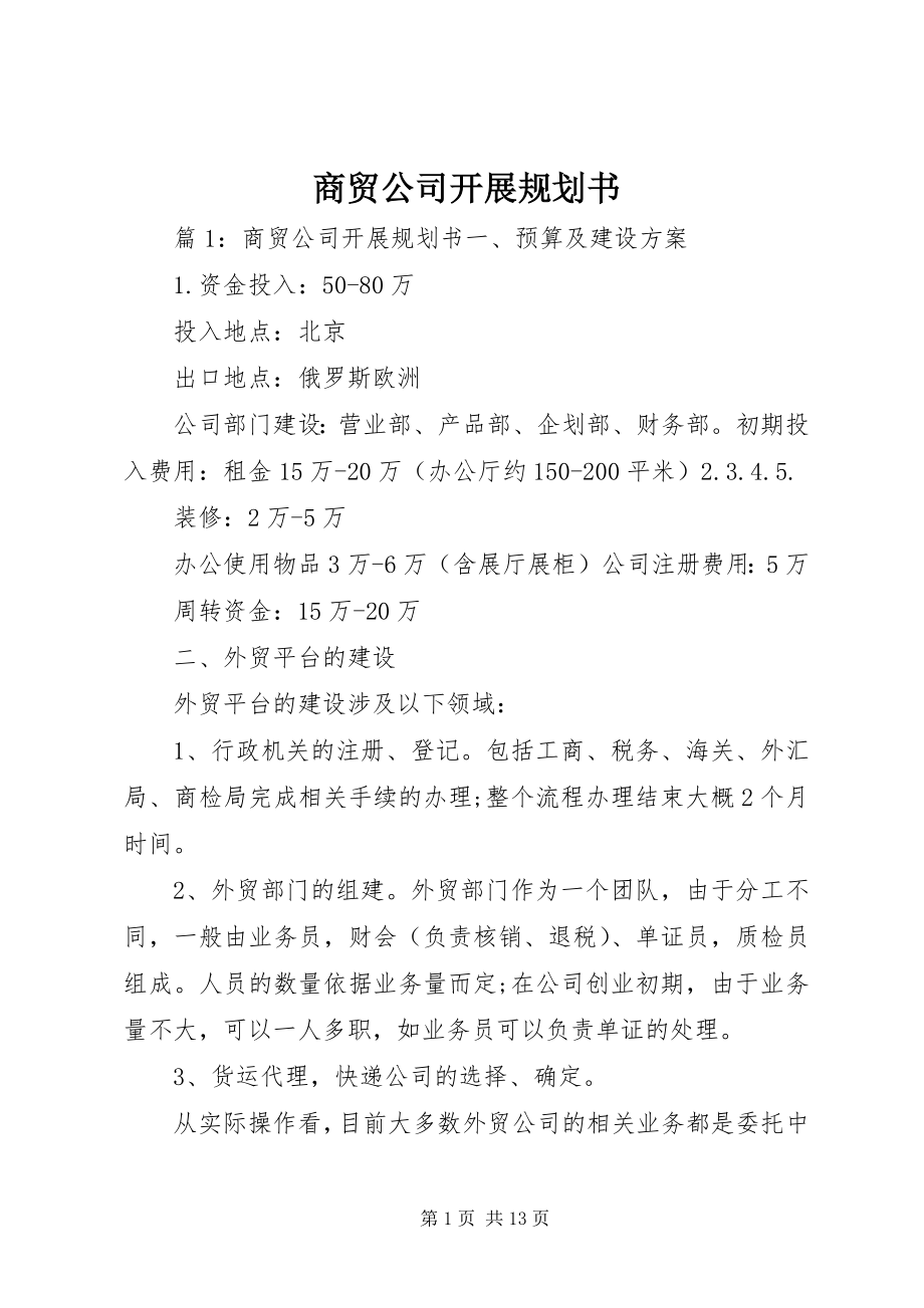 2023年商贸公司发展规划书.docx_第1页