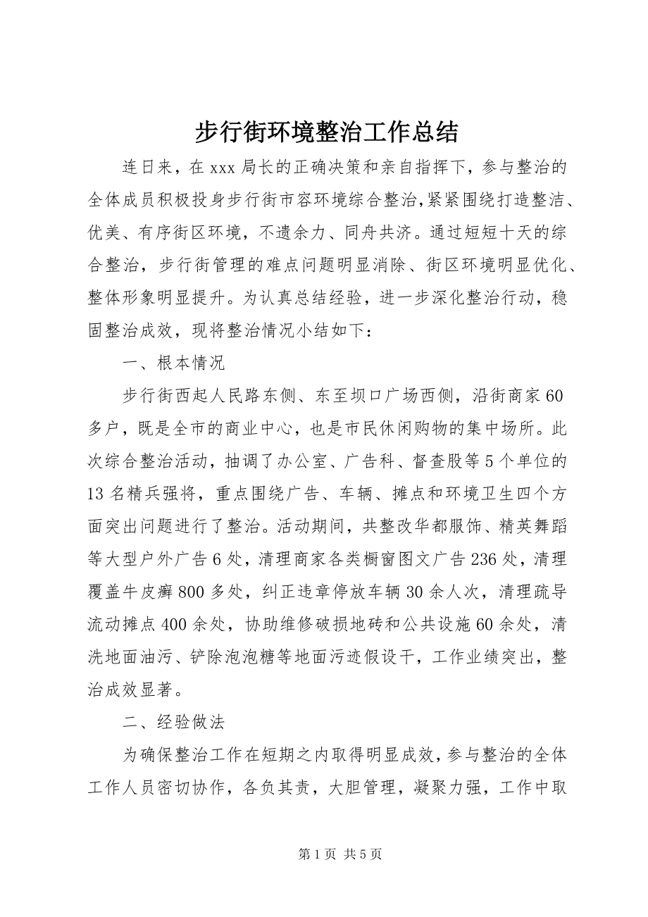 2023年步行街环境整治工作总结新编.docx_第1页