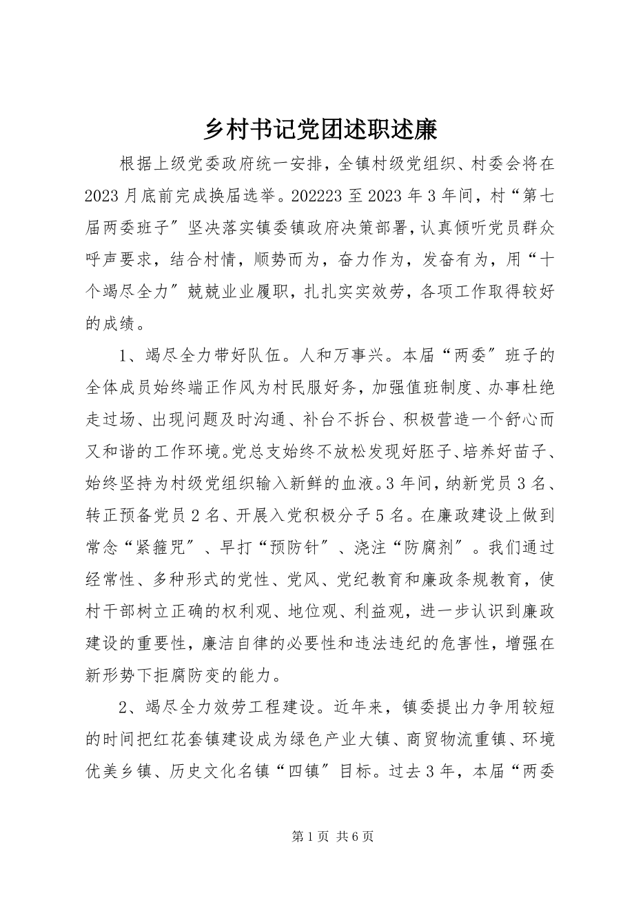 2023年乡村书记党团述职述廉.docx_第1页