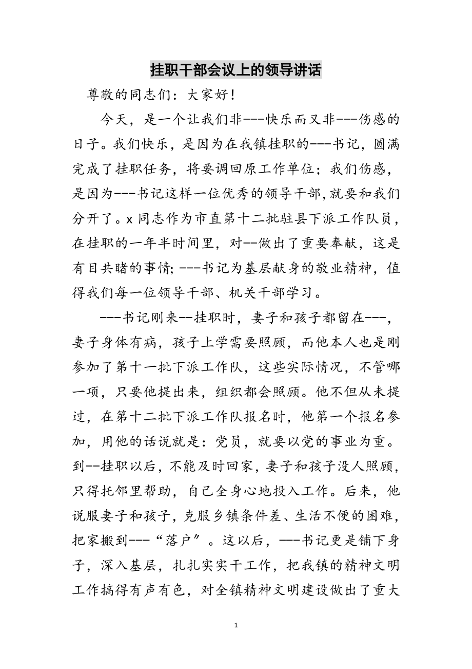 2023年挂职干部会议上的领导讲话范文.doc_第1页