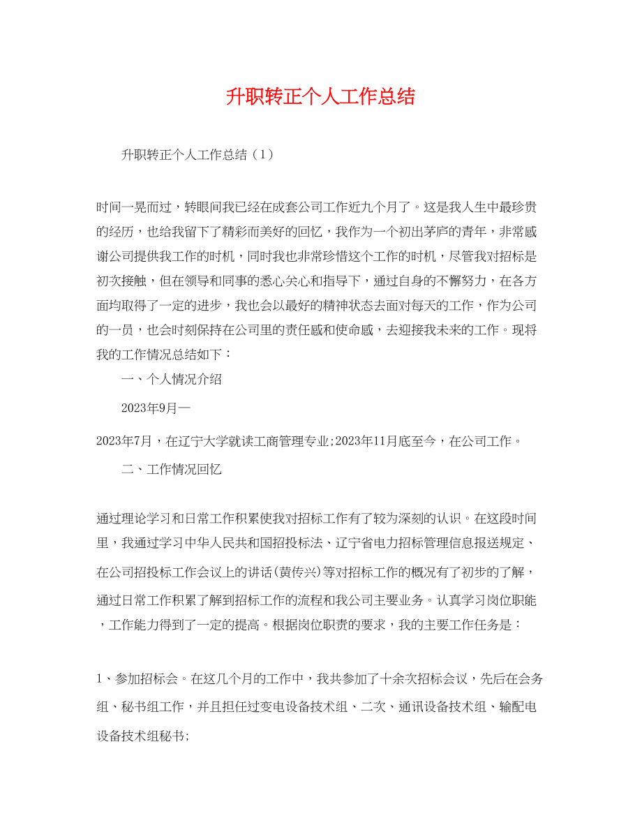 2023年升职转正个人工作总结.docx_第1页