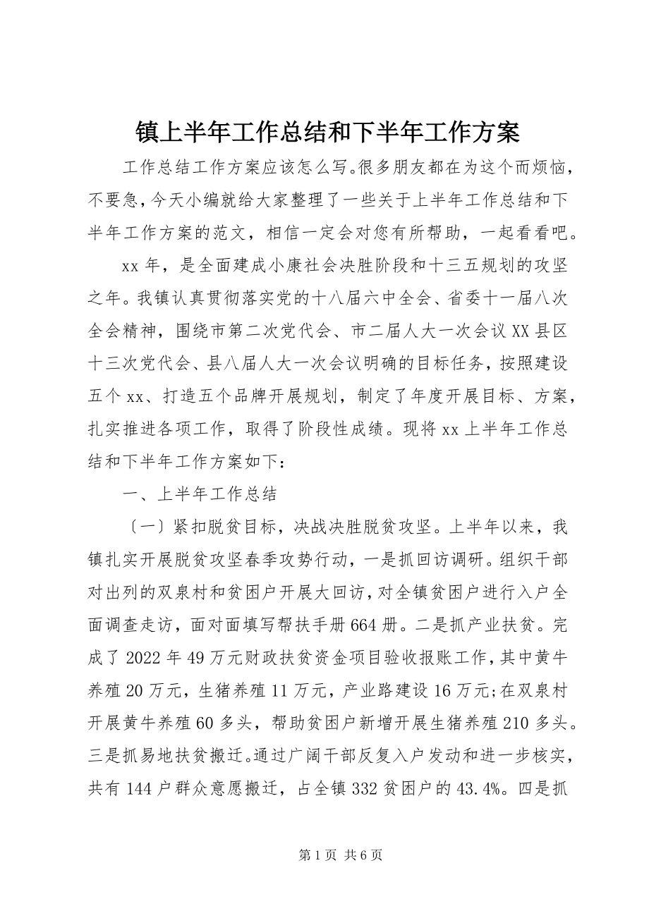 2023年镇上半年工作总结和下半工作计划.docx_第1页