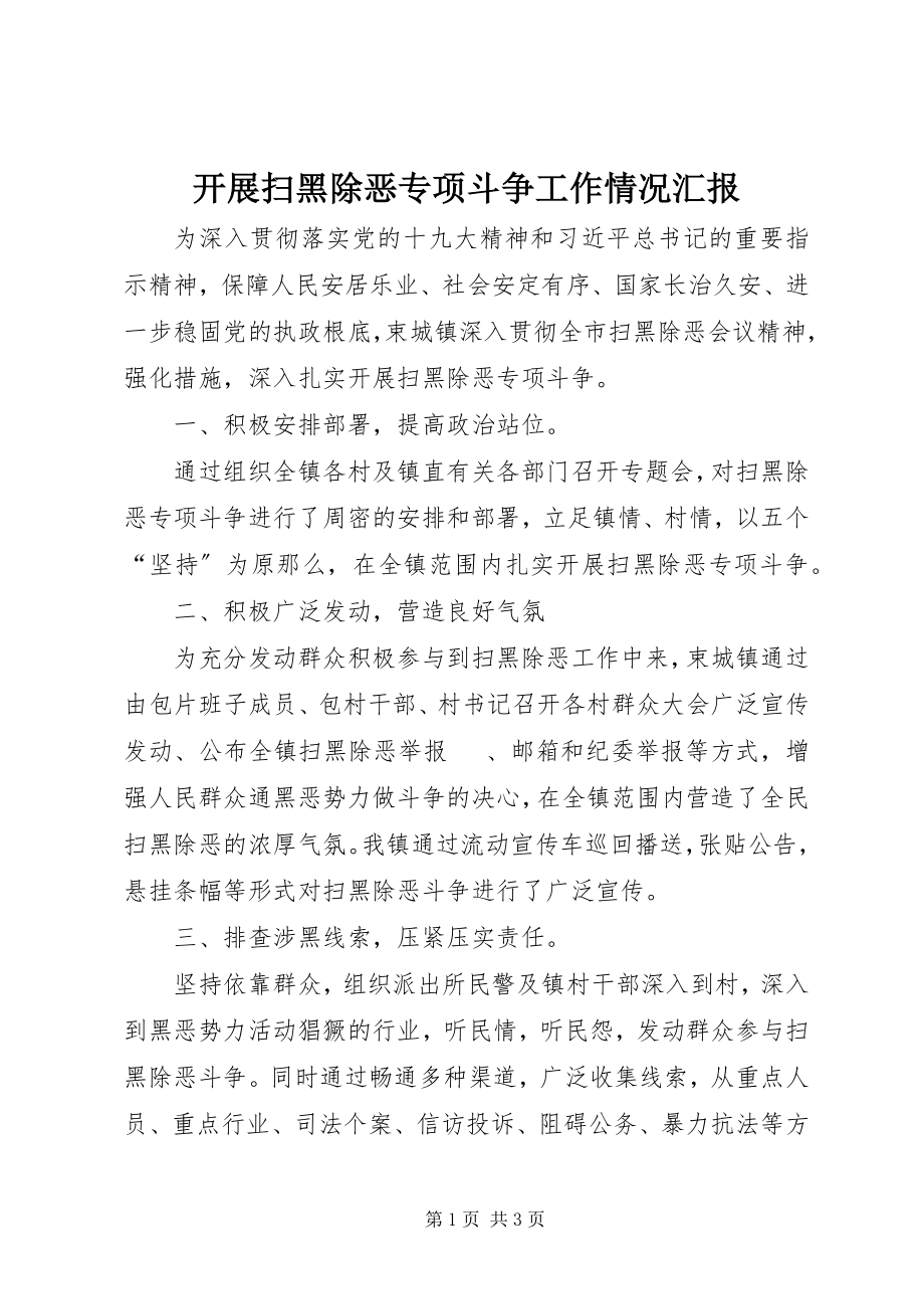 2023年开展扫黑除恶专项斗争工作情况汇报.docx_第1页