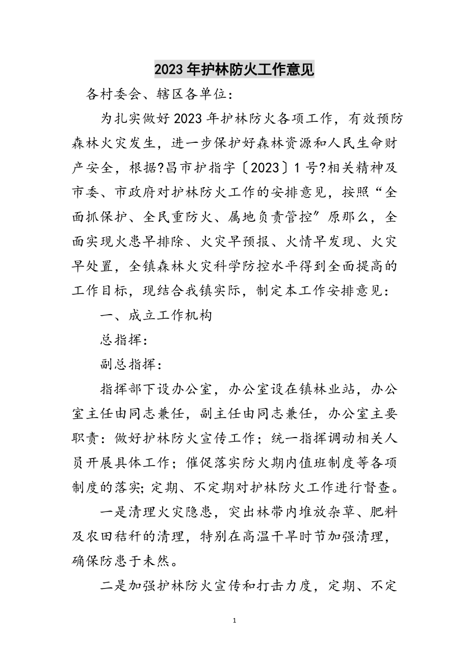 2023年年护林防火工作意见范文.doc_第1页