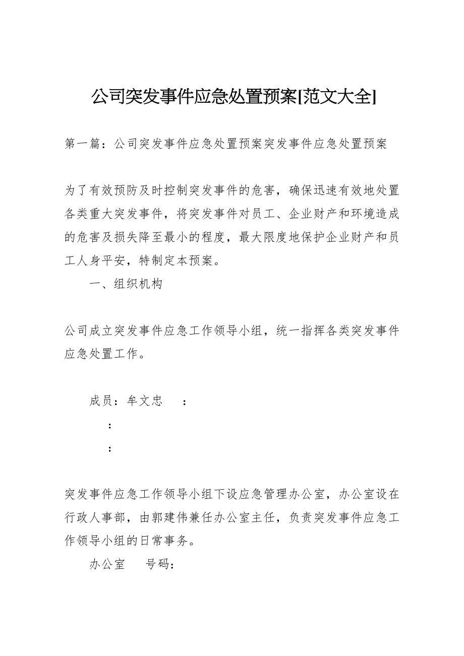 2023年公司突发事件应急处置预案范文大全2.doc_第1页