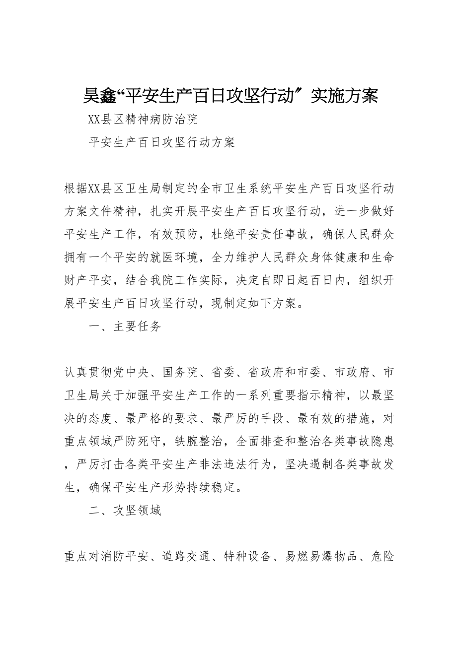 2023年昊鑫安全生产百日攻坚行动实施方案 .doc_第1页