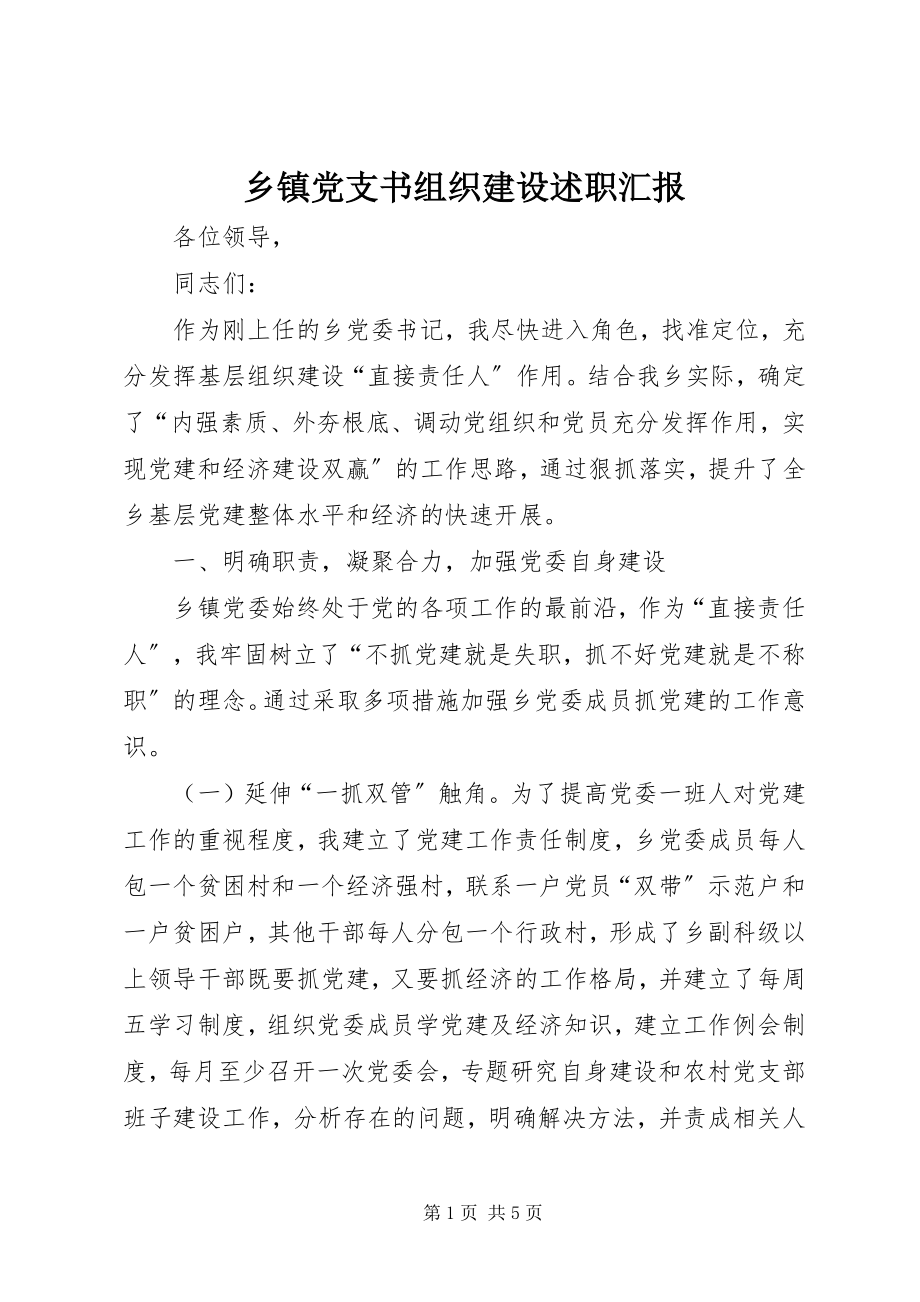 2023年乡镇党支书组织建设述职汇报.docx_第1页