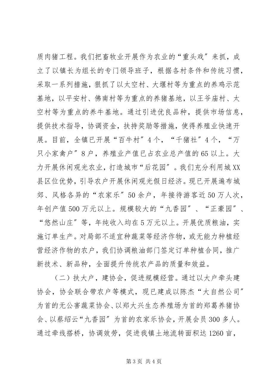 2023年依托城市谋发展打造特色奔小康镇长的致辞材料.docx_第3页