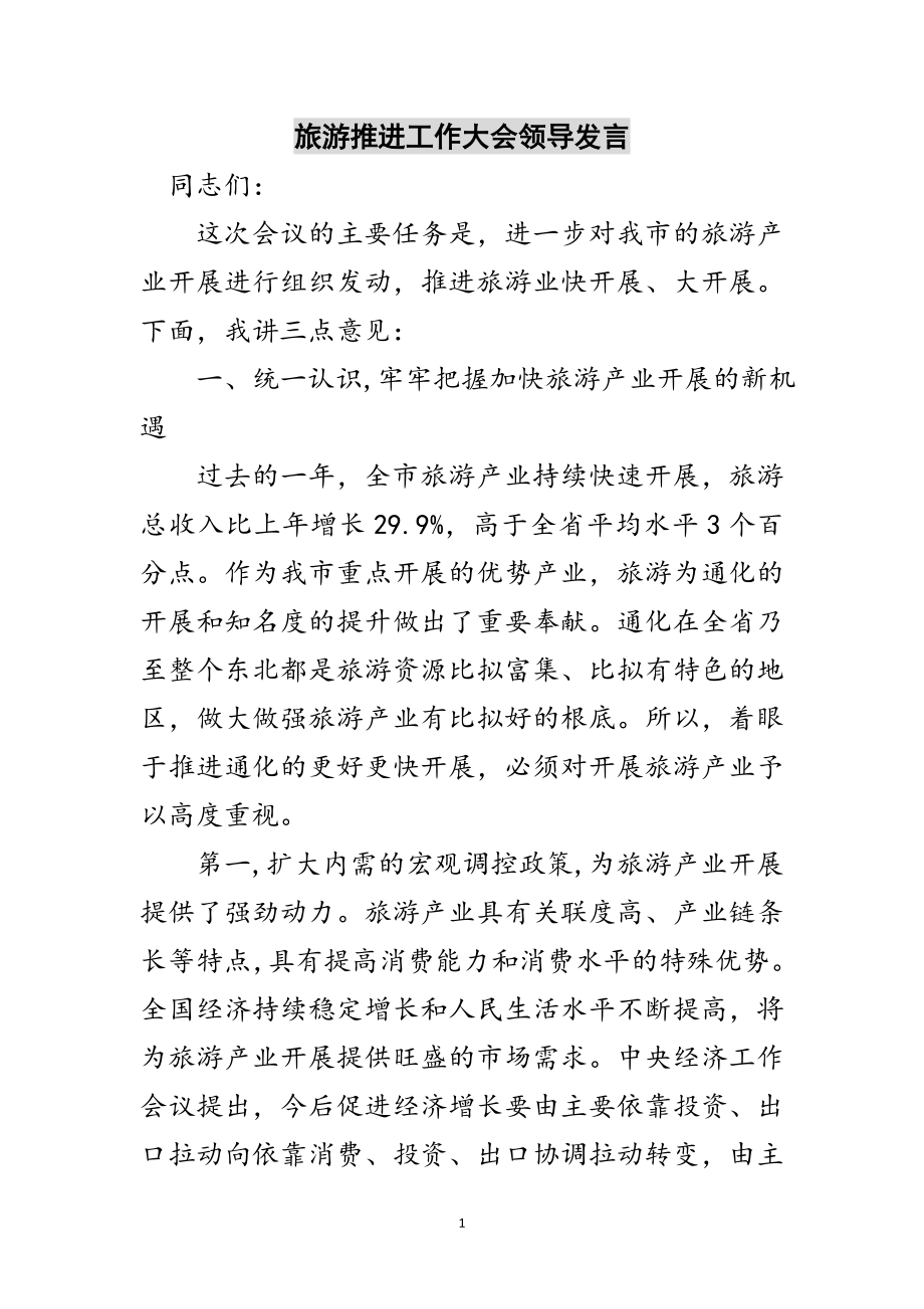 2023年旅游推进工作大会领导发言范文.doc_第1页