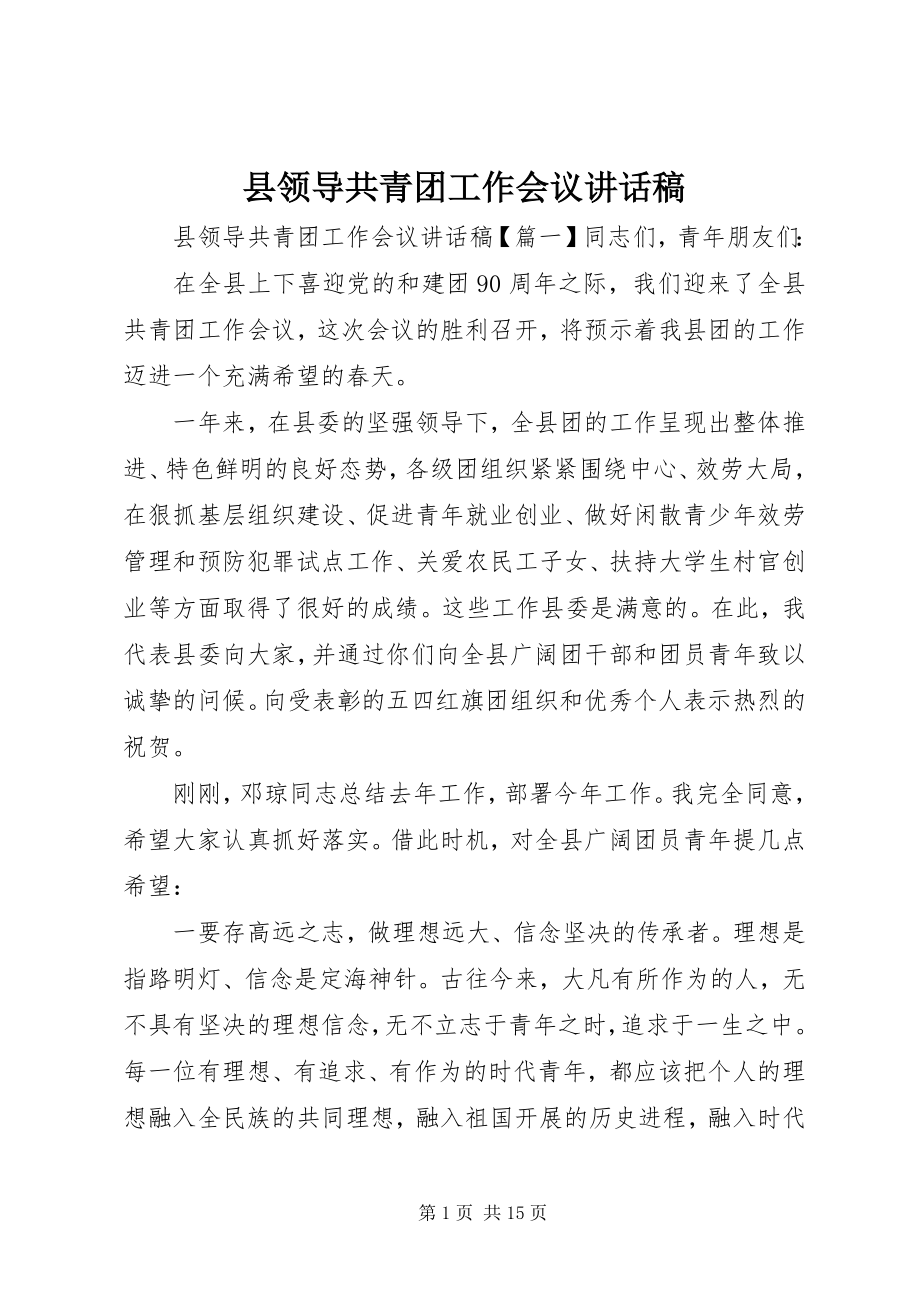 2023年县领导共青团工作会议致辞稿.docx_第1页