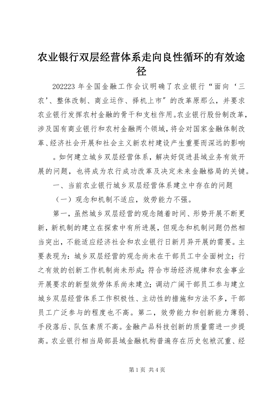 2023年农业银行双层经营体系走向良性循环的有效途径.docx_第1页