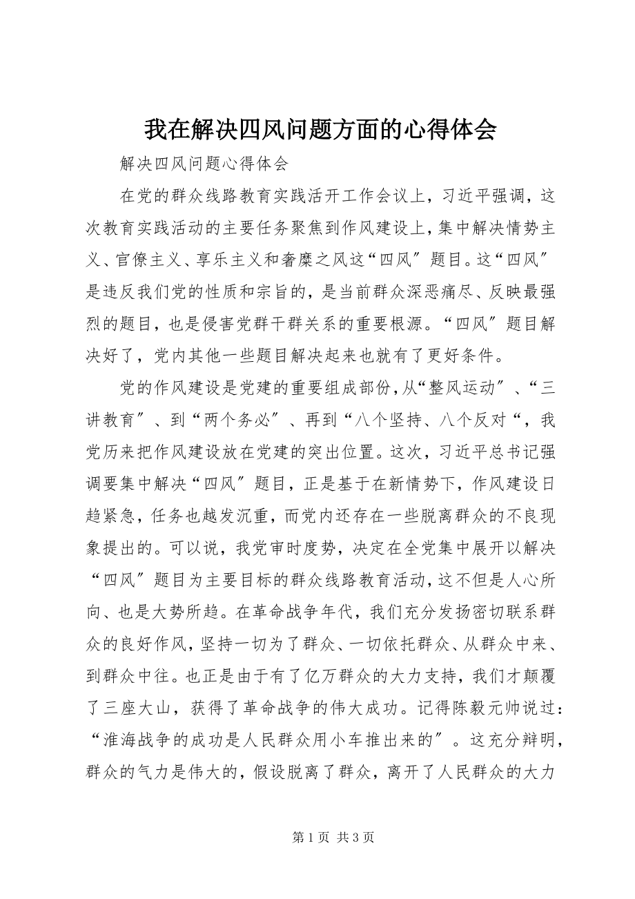 2023年我在解决四风问题方面的心得体会.docx_第1页