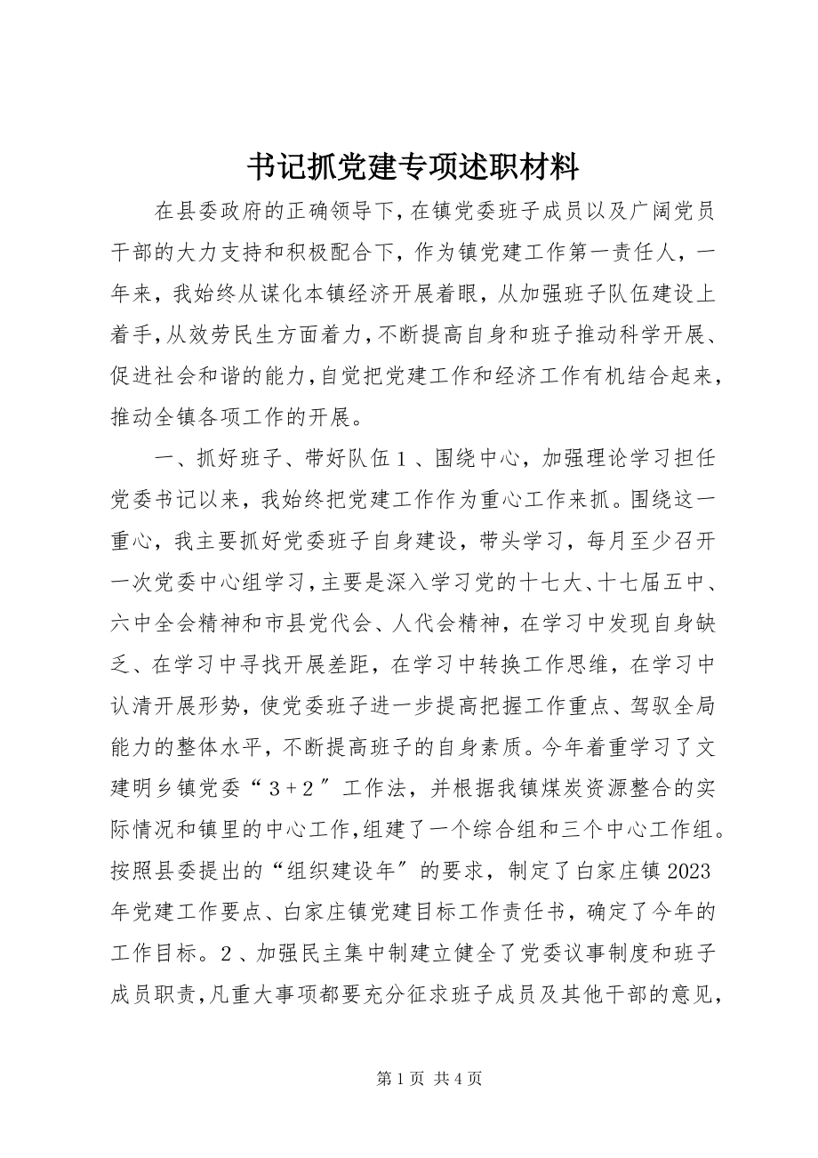 2023年书记抓党建专项述职材料.docx_第1页