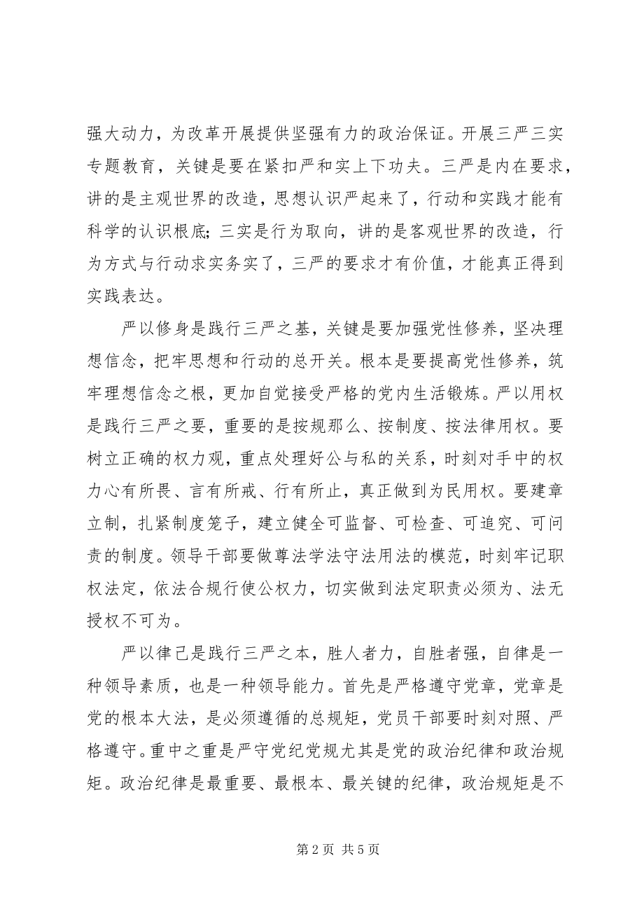 2023年三严三实学习心得切实把“三严三实”落实在行动中.docx_第2页