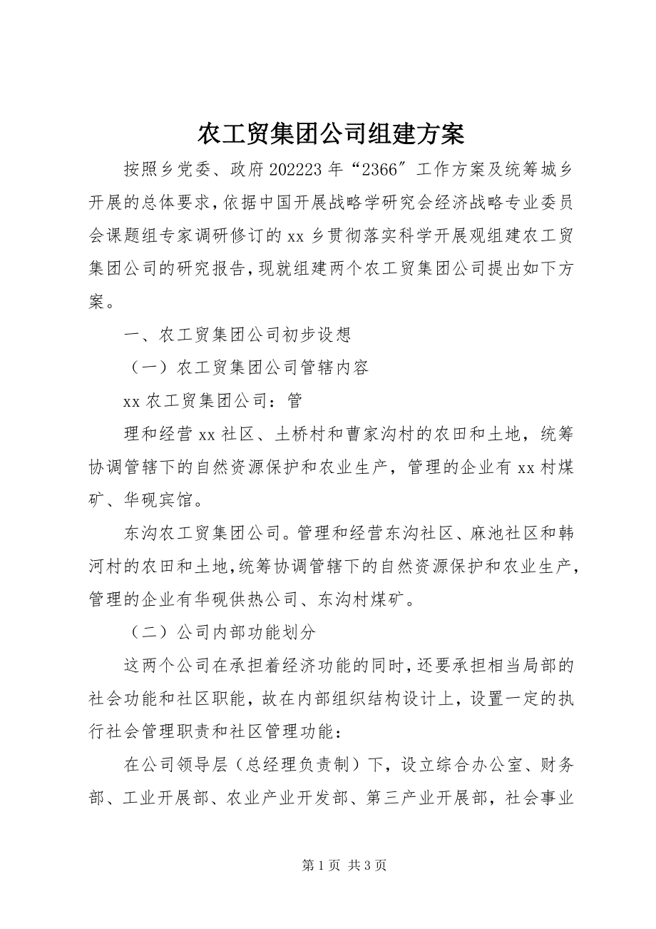 2023年农工贸集团公司组建方案.docx_第1页