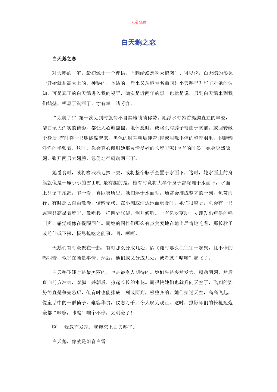 2023年白天鹅之恋.docx_第1页