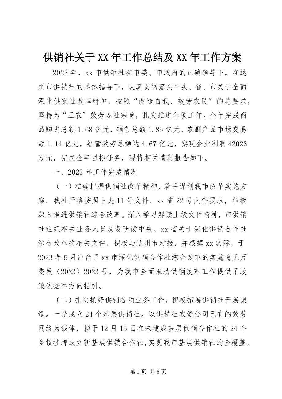 2023年供销社某年工作总结及某年工作计划.docx_第1页