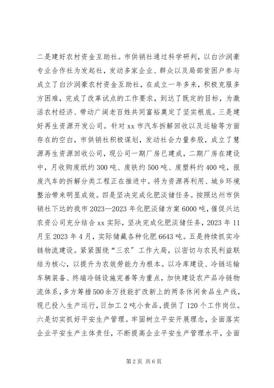 2023年供销社某年工作总结及某年工作计划.docx_第2页