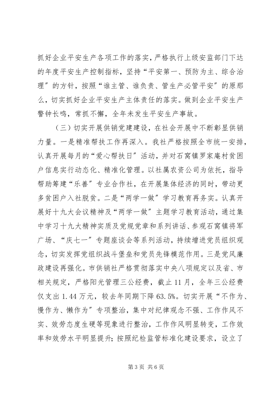 2023年供销社某年工作总结及某年工作计划.docx_第3页