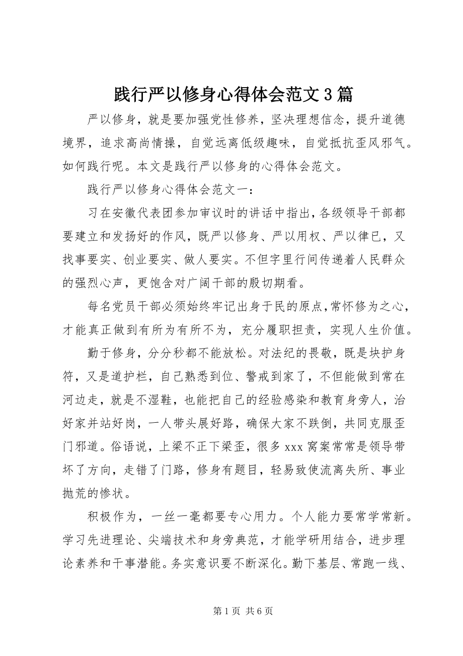 2023年践行严以修身心得体会3篇.docx_第1页