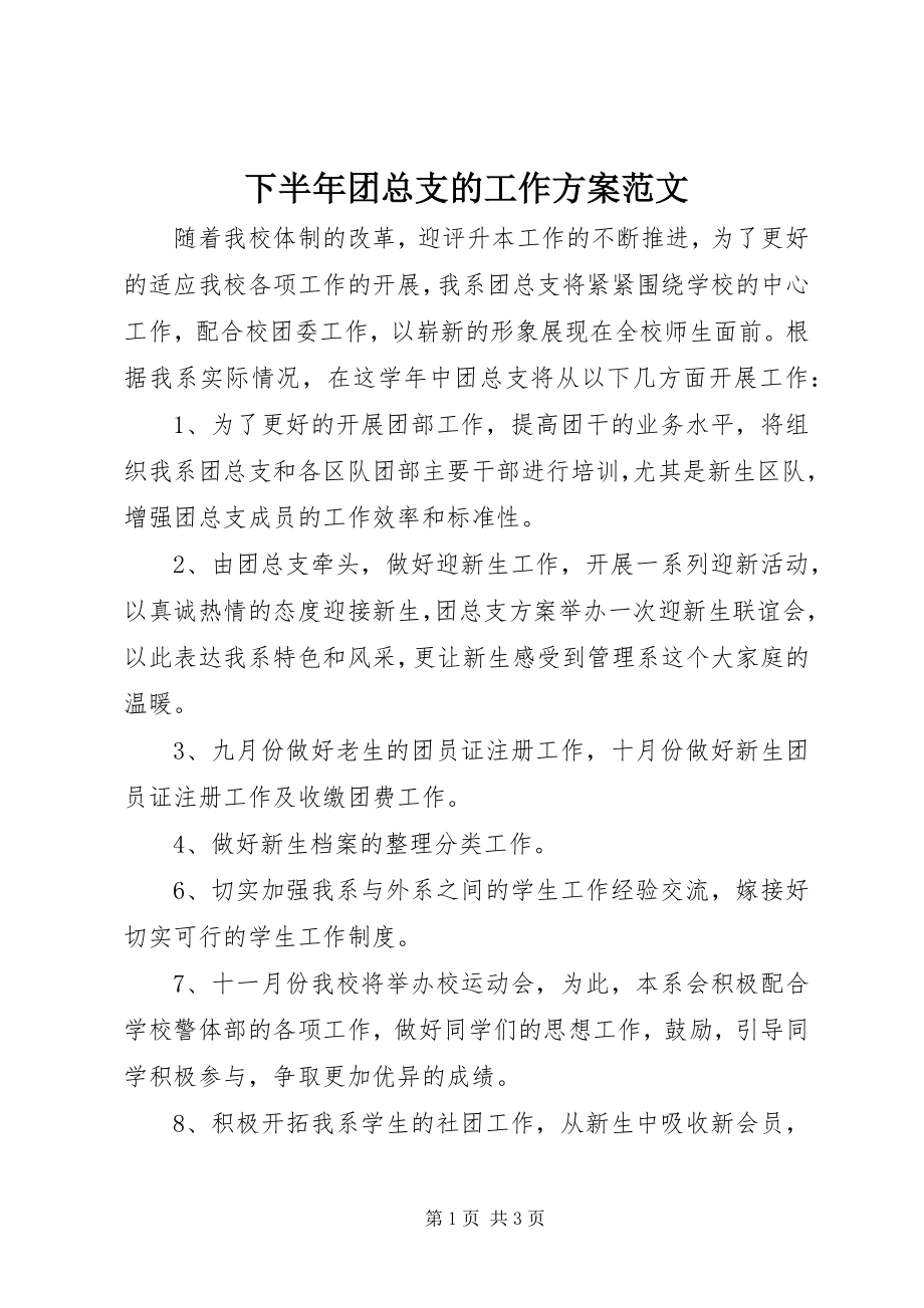 2023年下半年团总支的工作计划.docx_第1页