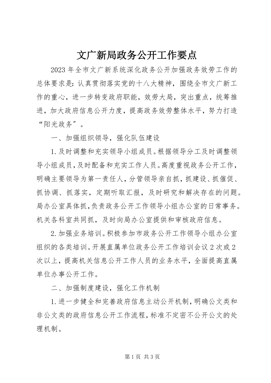 2023年文广新局政务公开工作要点.docx_第1页