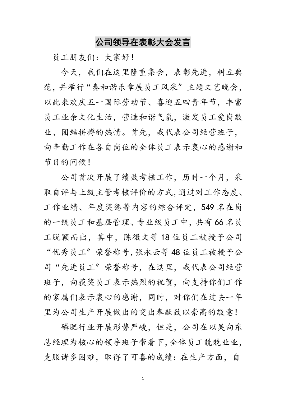 2023年公司领导在表彰大会发言范文.doc_第1页