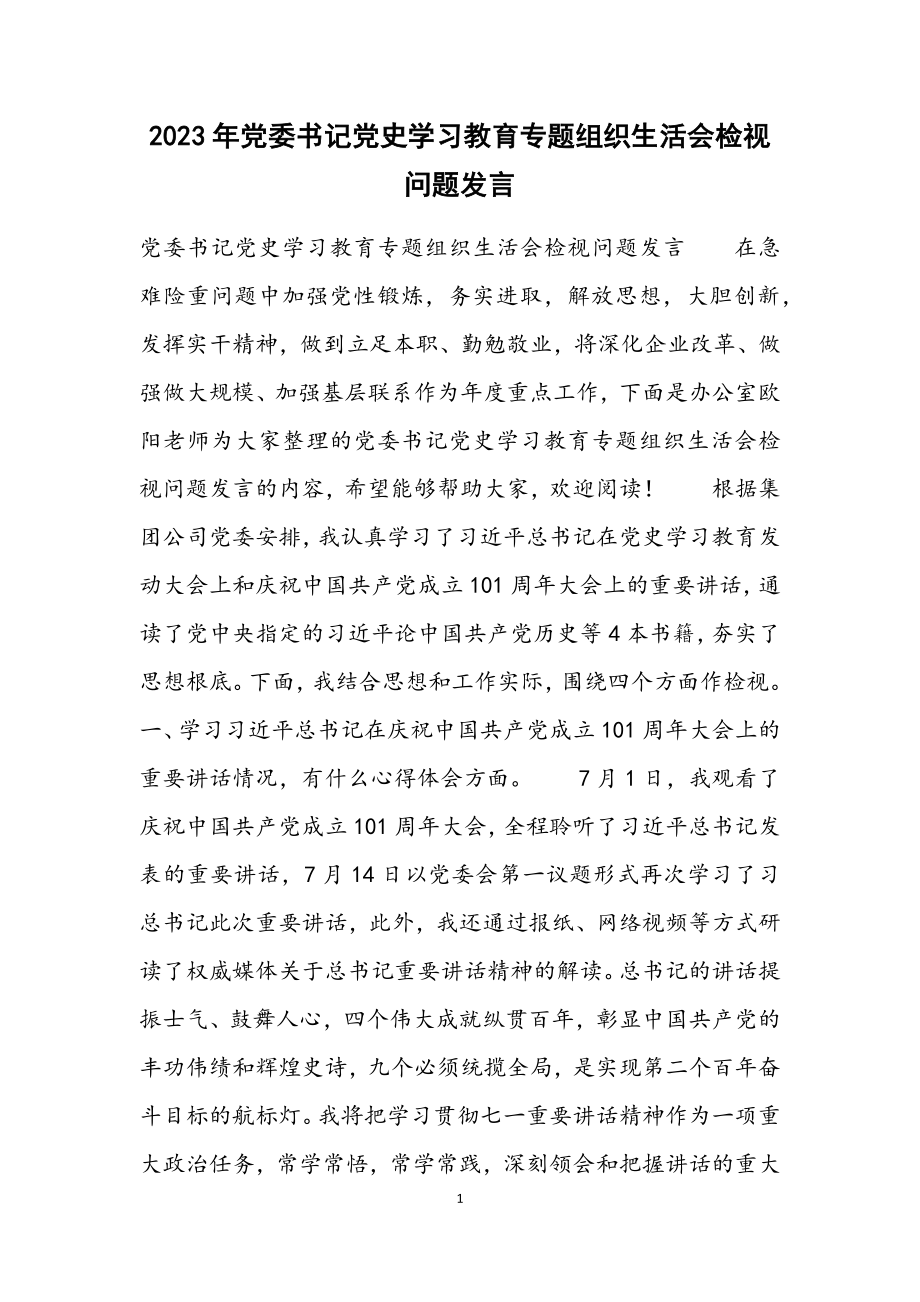 2023年党委书记党史学习教育专题组织生活会检视问题发言.docx_第1页