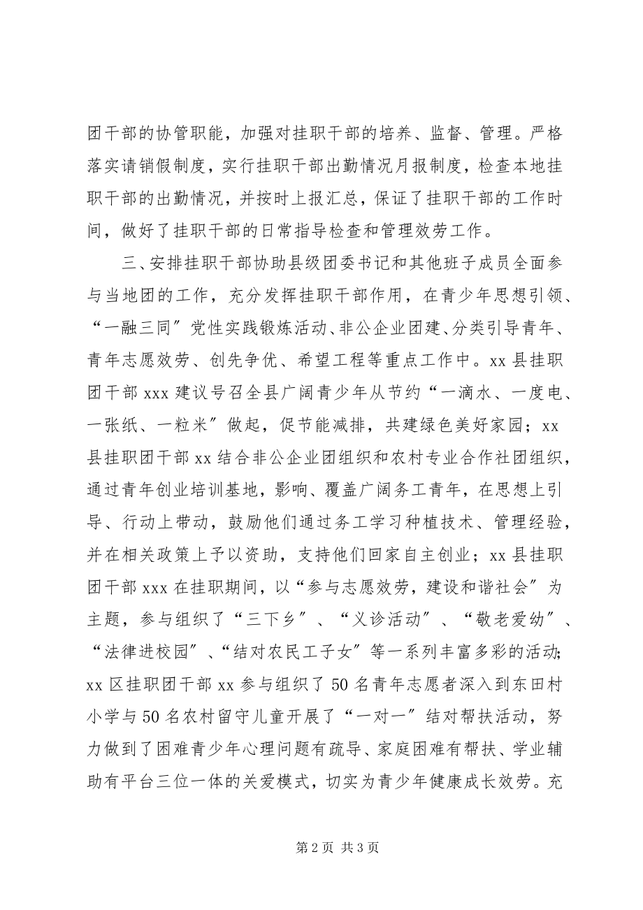 2023年高校挂职团干部管理工作总结.docx_第2页