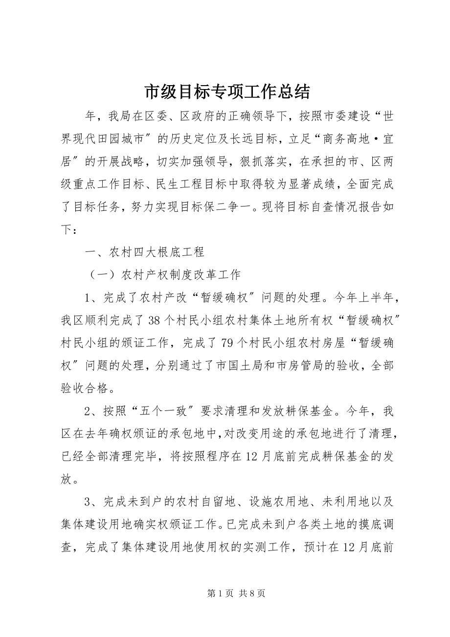 2023年市级目标专项工作总结.docx_第1页