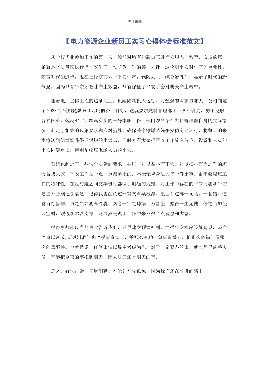 2023年电力能源企业新员工实习心得体会标准范文.docx_第1页