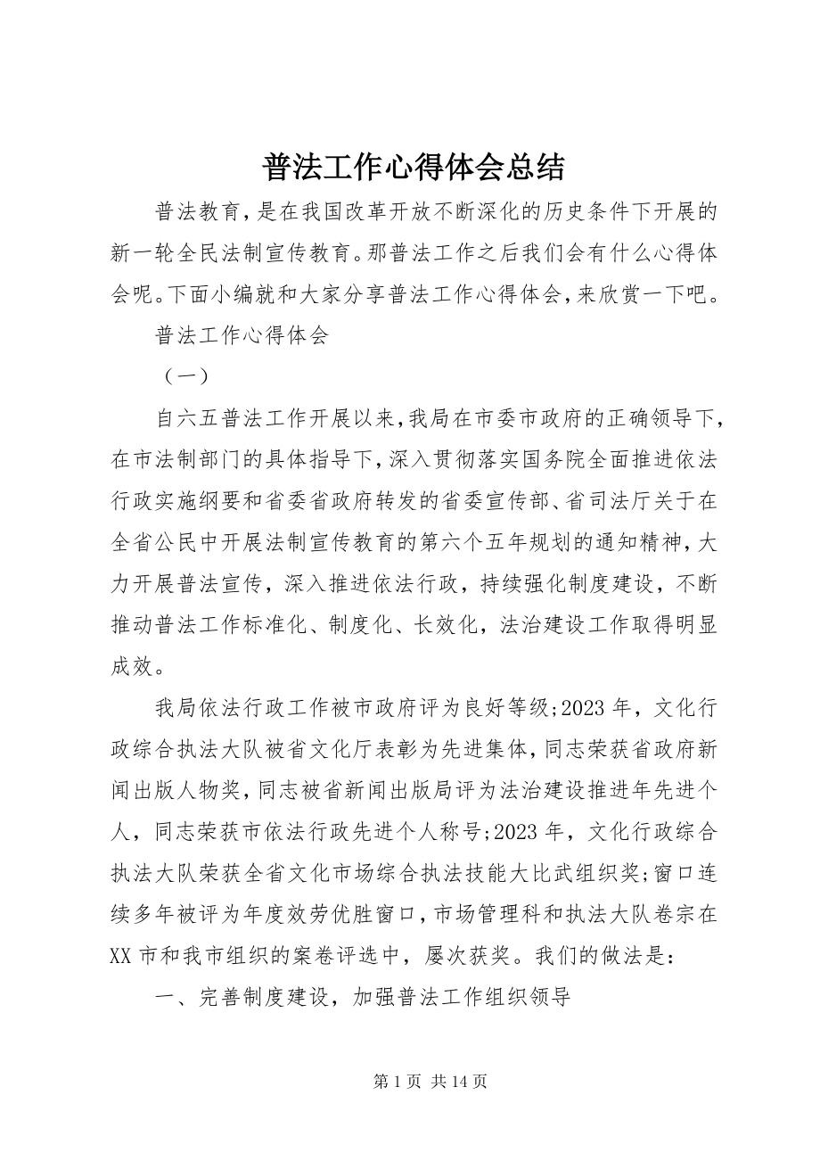 2023年普法工作心得体会总结.docx_第1页