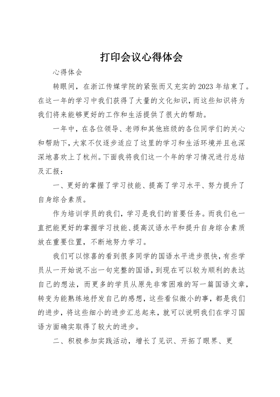 2023年打印会议心得体会新编.docx_第1页