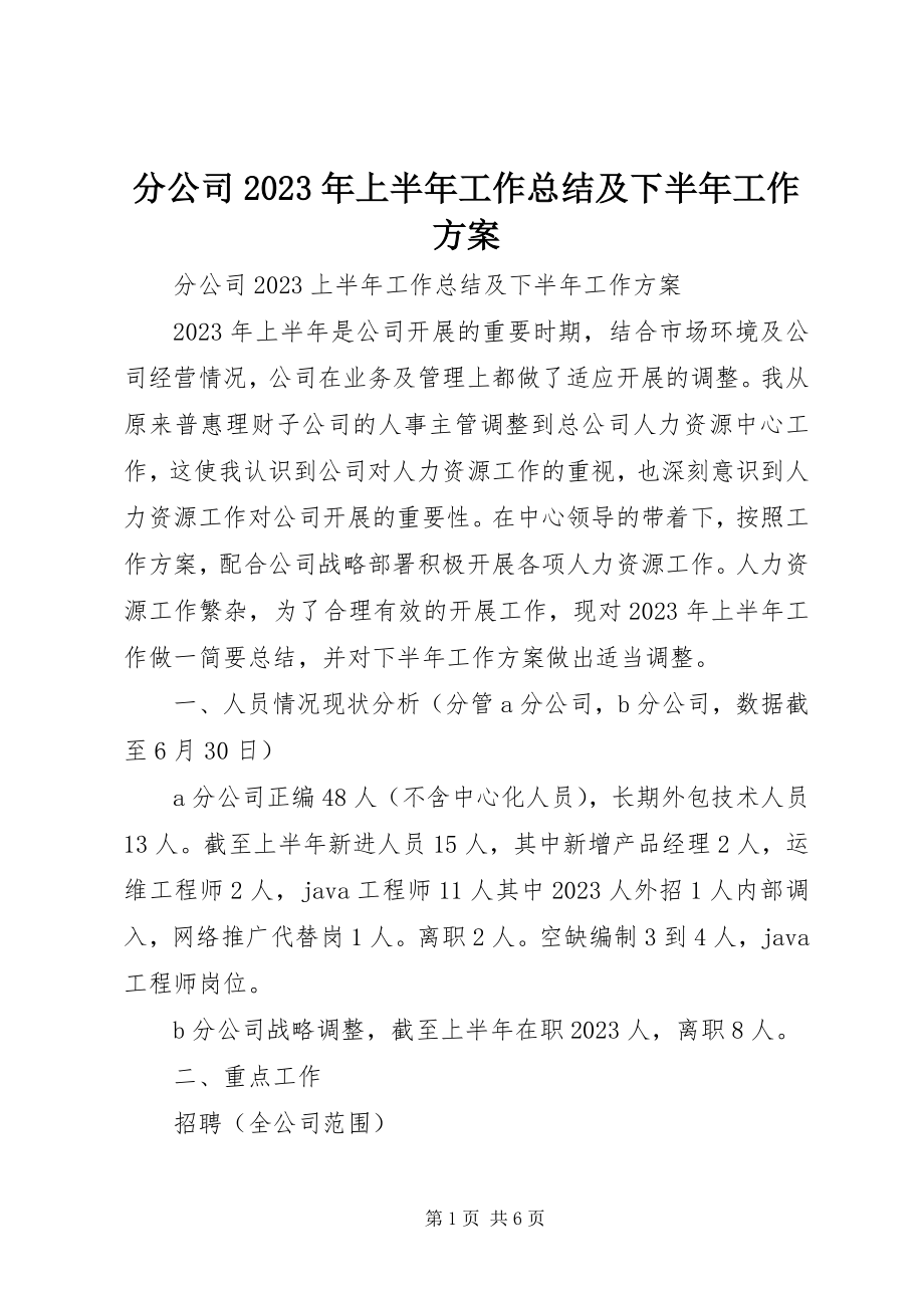 2023年分公司某年上半年工作总结及下半年工作计划.docx_第1页