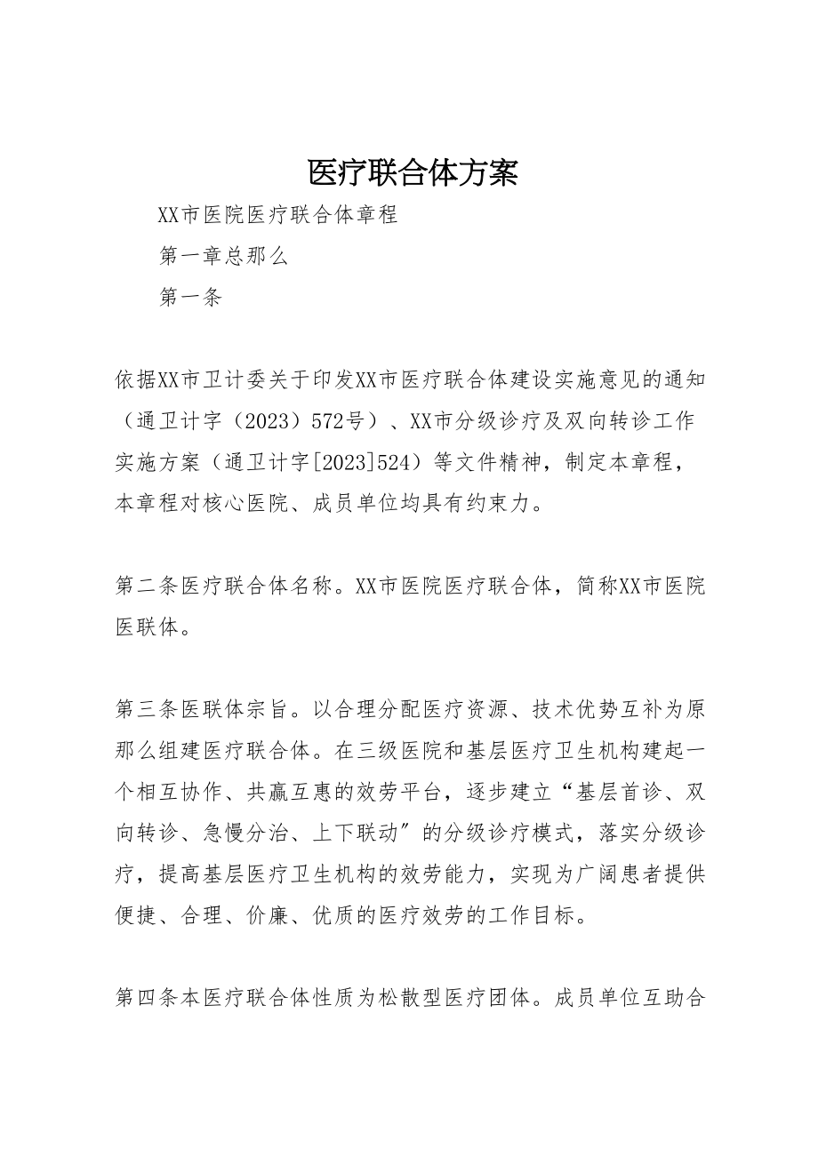 2023年医疗联合体方案 3.doc_第1页