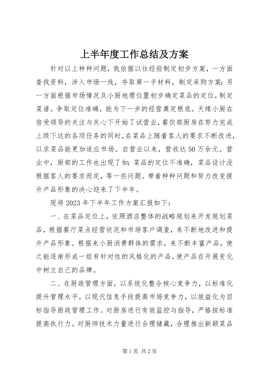 2023年上半年度工作总结及计划.docx_第1页