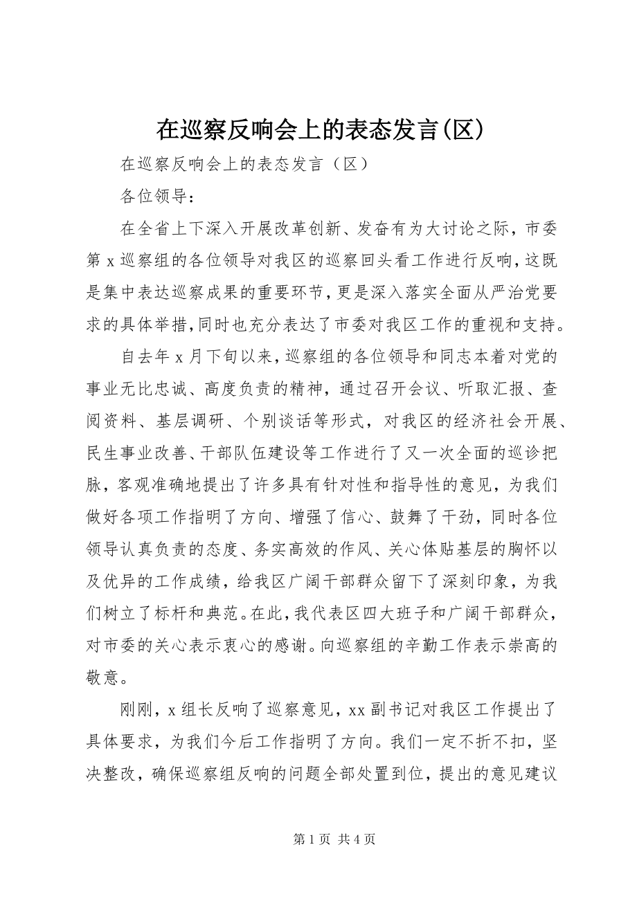 2023年在巡察反馈会上的表态讲话区.docx_第1页