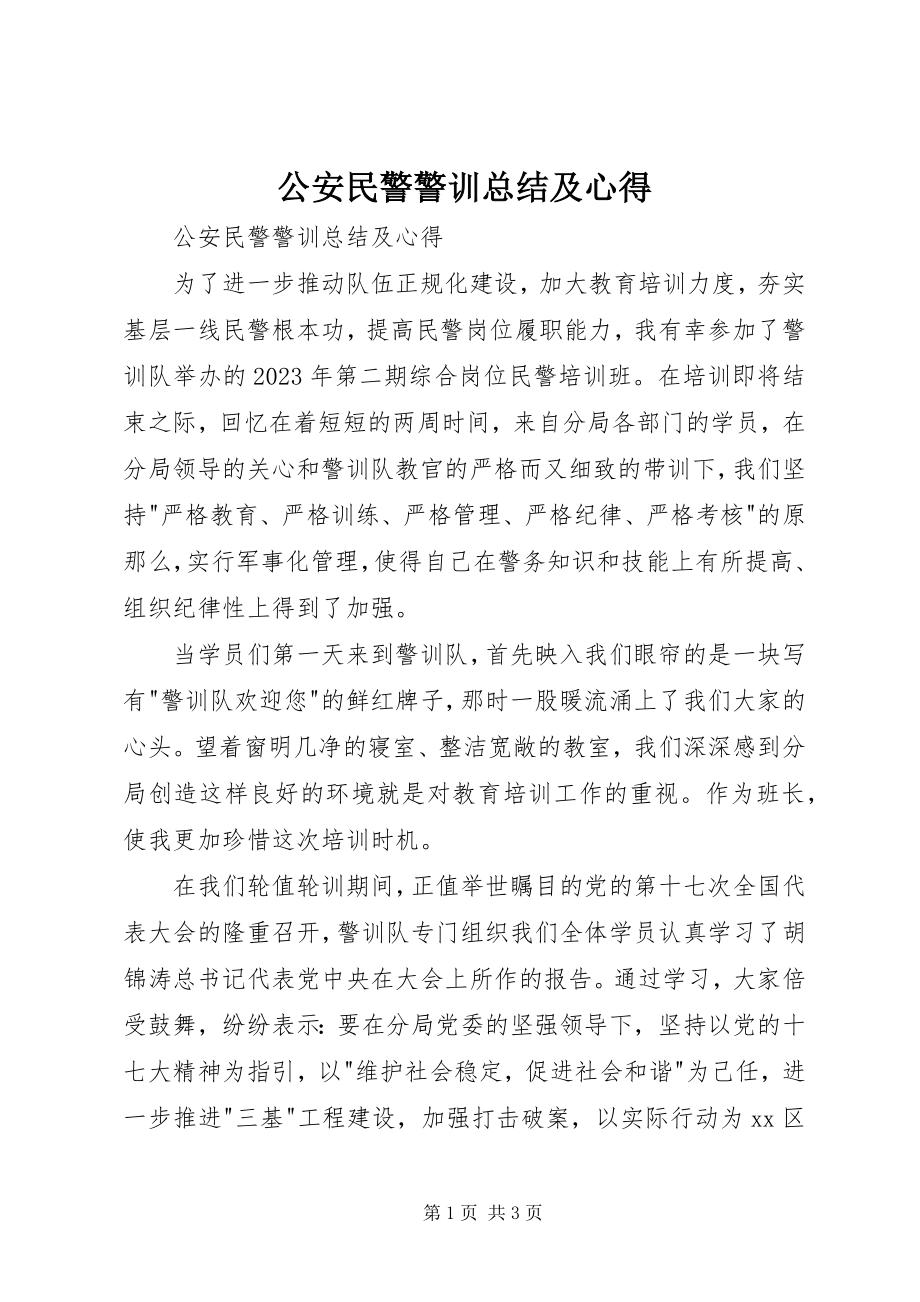 2023年公安民警警训总结及心得.docx_第1页