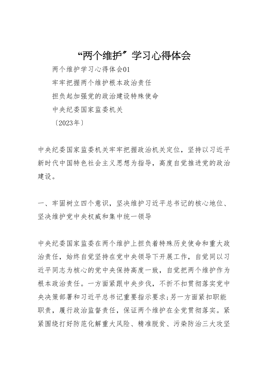 2023年两个维护学习心得体会.doc_第1页