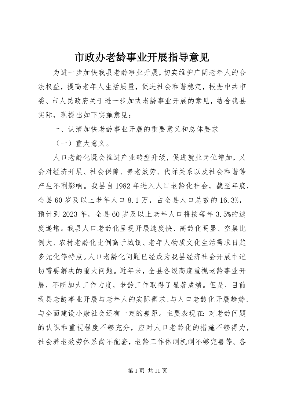 2023年市政办老龄事业发展指导意见.docx_第1页