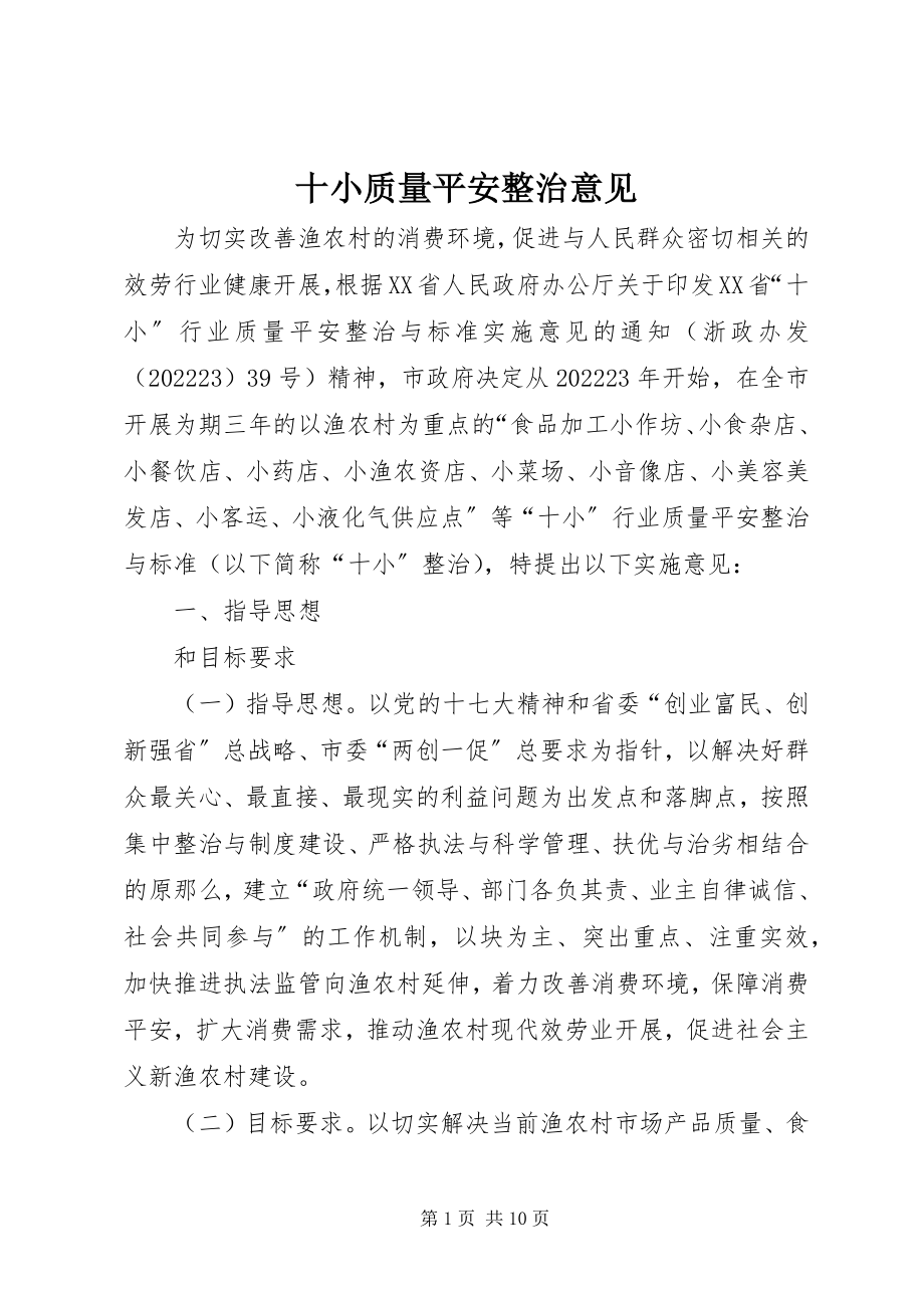 2023年十小质量安全整治意见.docx_第1页